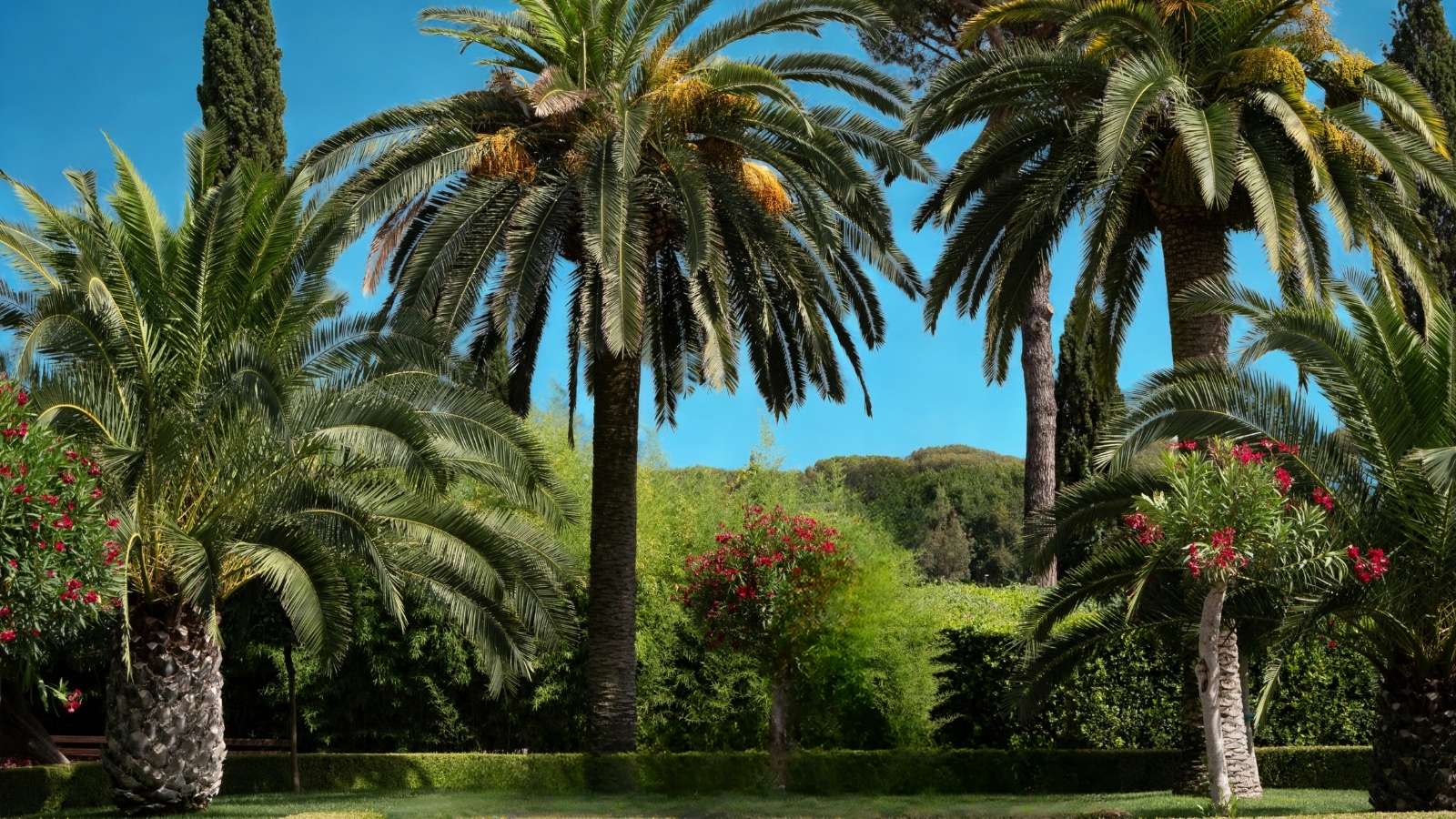 jardins-de-terramar